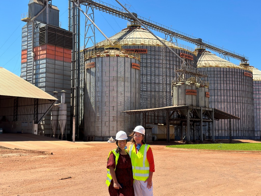 Advogado Agronegócios - MKA Advogados Advogado Agronegócios - MKA Advogados